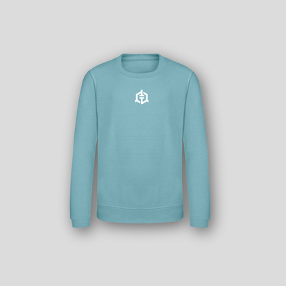 Tommy T’s Lifestyle Sweatshirt- Teal - Kids Sweatshirt | Tommy Ts